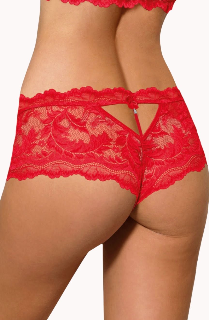 Sefia Brief with Lace in Red - Brief - RubyV Lingerie