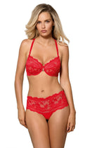 Sefia Brief with Lace in Red - Brief - RubyV Lingerie